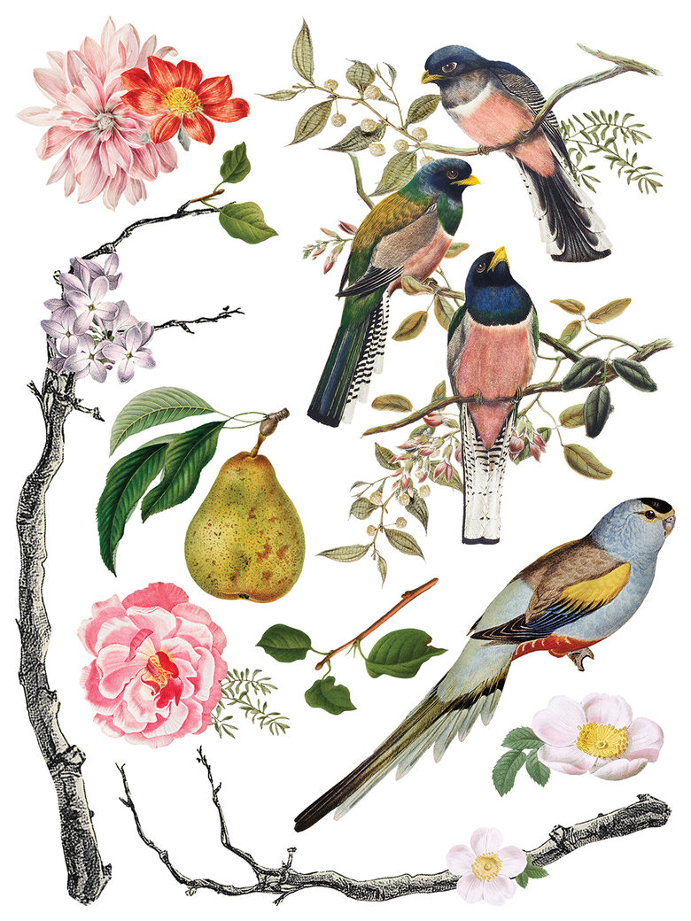 MENAGERIE